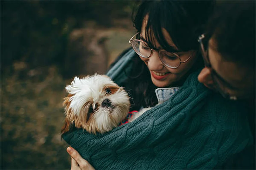 犬の泌尿器問題を早期発見！症状チェックと予防法